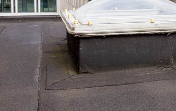 disadvantages of Tan Office flat roofs