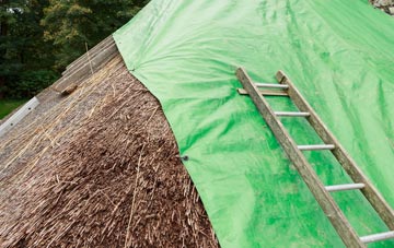 maintaining Tan Office thatch