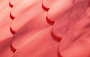 Tan Office plastic roof costs