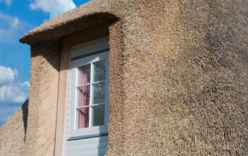 Tan Office thatch roof disadvantages