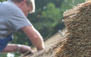 professional Tan Office thatchers