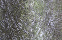 Tan Office fibreglass roof work